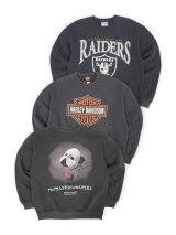 本日は10点UPしました。