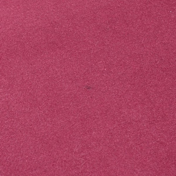 画像5: Early 00's SANTA CRUZ L/S プリントTシャツ "NHSタグ" (5)