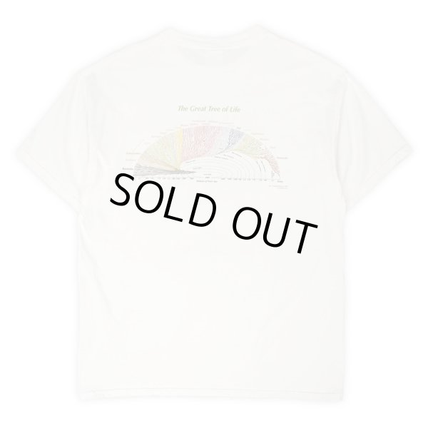 画像2: 00's Leonard Eisenberg 両面プリントTシャツ (2)