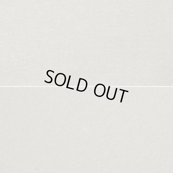 画像5: 90's RUSSELL 前V ブランクスウェット "BEIGH / MADE IN USA" (5)