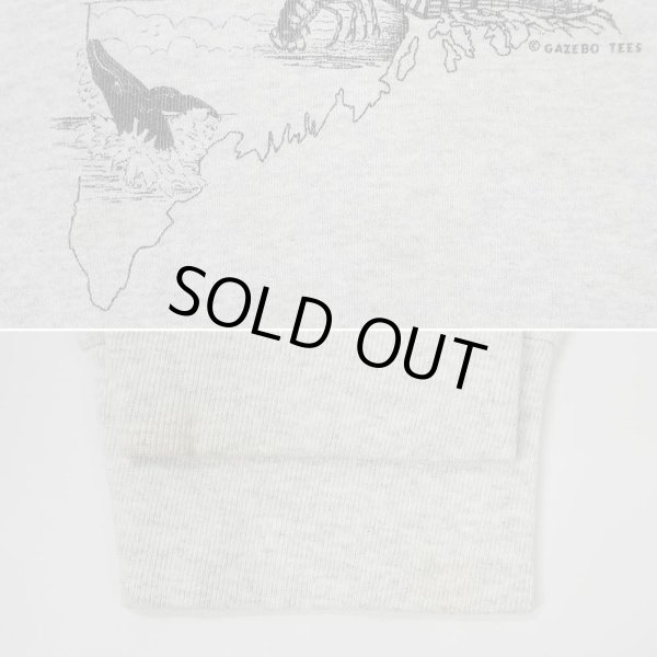 画像3: 90's MAINE スーベニアスウェット “Fruit of the loom Body” (3)