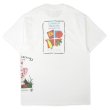 画像3: 00's LIBERTY GRAPHICS マルチテストプリントTシャツ "DEADSTOCK / HANES BEEFY BODY" #23-17 (3)