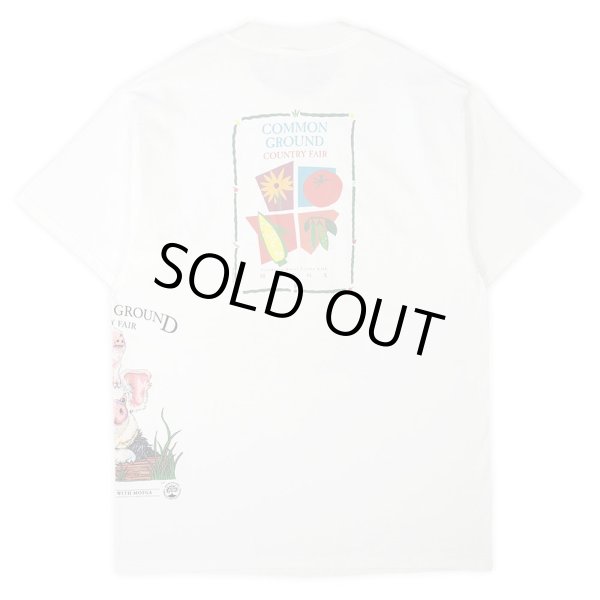 画像3: 00's LIBERTY GRAPHICS マルチテストプリントTシャツ "DEADSTOCK / HANES BEEFY BODY" #23-17 (3)