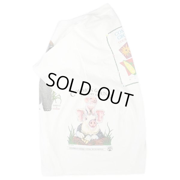 画像4: 00's LIBERTY GRAPHICS マルチテストプリントTシャツ "DEADSTOCK / HANES BEEFY BODY" #23-17 (4)