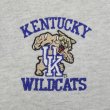 画像2: 90's KENTUCKY WILDCATS スウェットカーディガン "MADE IN USA / JERZEES body" (2)