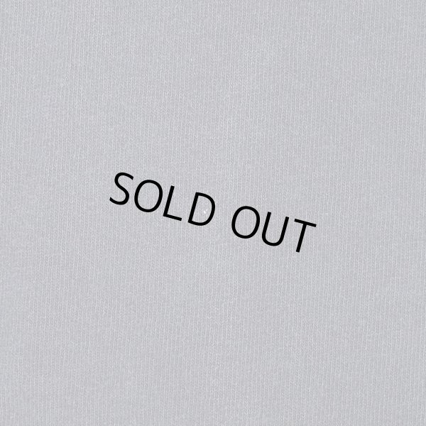 画像4: 00's SANTA CRUZ ロゴプリントTシャツ "NHSタグ" (4)