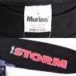 画像3: 90's THE STORM L/S バンドTシャツ "MADE IN USA / DEADSTOCK" (3)