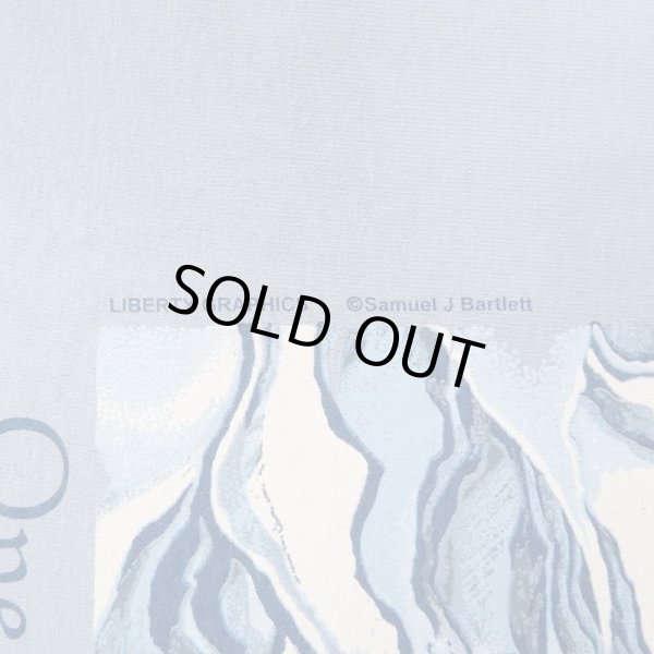 画像5: 00's LIBERTY GRAPHICS テストプリントTシャツ "DEADSTOCK" #27 (5)