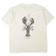 画像3: 00's LIBERTY GRAPHICS テストプリントTシャツ "DEADSTOCK / MADE IN USA" #23-21 (3)