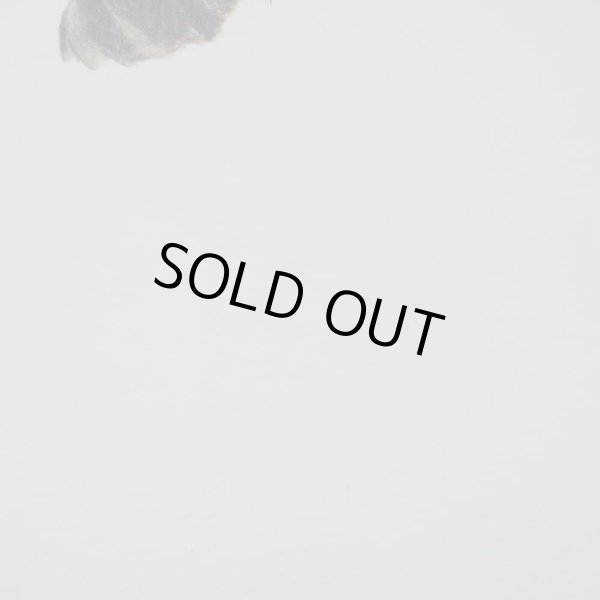 画像4: 00's GILDAN ドッグプリントTシャツ "Labrador retriever" (4)