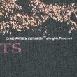 画像4: 90's RUSH バンドTシャツ "MADE IN USA / COUNTERPARTS" (4)