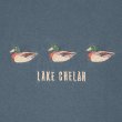 画像2: 90's LAKE CHELAN スーベニアTシャツ "MADE IN USA / Murina Body" (2)