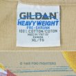 画像3: 90's FOO FIGHTERS バンドTシャツ (3)