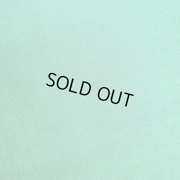 画像4: 90's Nubble Light スーベニアスウェット (4)