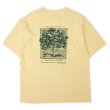 画像3: 00's LIBERTY GRAPHICS テストプリントTシャツ "DEADSTCOK / Beneficial T's Body" #23-23 (3)