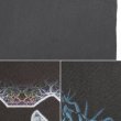 画像4: 00's tool "NERVE ENDING" バンドTシャツ (4)