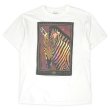 画像1: 90's Lifeforms Naturewear アニマルプリントTシャツ "ONEITA body" (1)