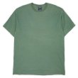 画像1: 90's Puritan ボーダーTシャツ "Green Base" (1)