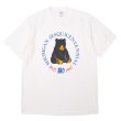 画像1: 80's Russell プリントTシャツ "MADE IN USA" (1)
