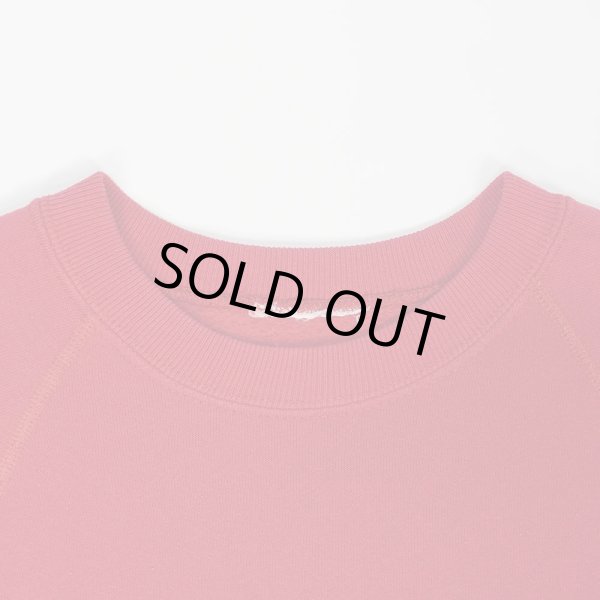 画像3: 80's FUCK MICHIGAN カレッジプリントスウェット (3)