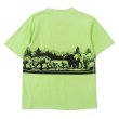 画像2: 90’s GREAT SMOKY MOUNTAINS スーベニアTシャツ "ONEITA BODY" (2)