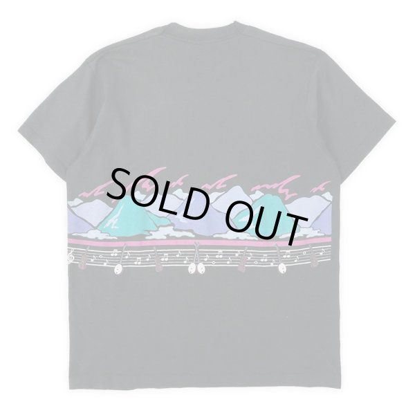 画像2: 90's Branson Missouri スーベニアTシャツ "MADE IN USA" (2)