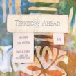 画像2: 00's THE TERRITORY AHEAD S/S 総柄 レギュラーカラーシャツ (2)