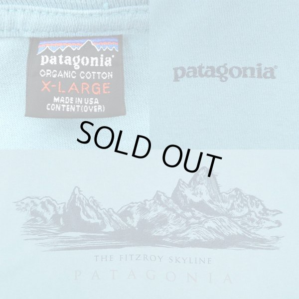 画像3: 90's Patagonia プリントTシャツ "MADE IN USA" (3)