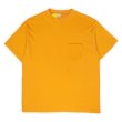 画像1: 70's CAMPUS ポケットTシャツ "MADE IN USA / sizeXL" (1)