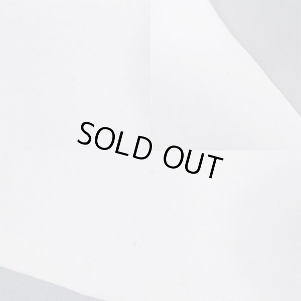 画像5: 02's TOOL バンドTシャツ "ALEX GREY DESIGN" (5)