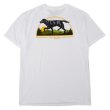 画像1: 00’s Columbia 両面プリントTシャツ "DEADSTOCK" (1)