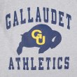 画像2: 00's GALLAUDET ATHLETICS 3段プリントTシャツ (2)