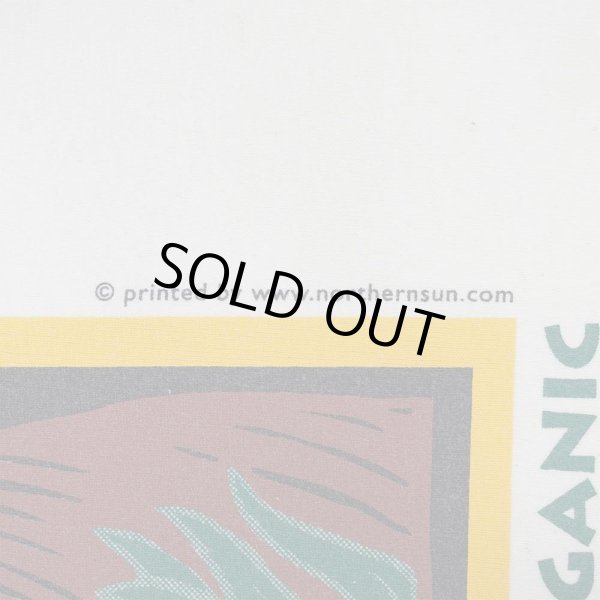 画像2: 00's Northern Sun プリントTシャツ "MADE IN USA" (2)