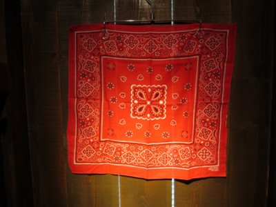 画像1: 60's FAST COLOR クッキー柄VINTAGE BANDANA