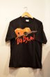 画像1: 90's BOB DYLAN BAND TEE "under the red sky” (1)