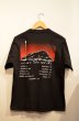 画像2: 90's BOB DYLAN BAND TEE "under the red sky” (2)