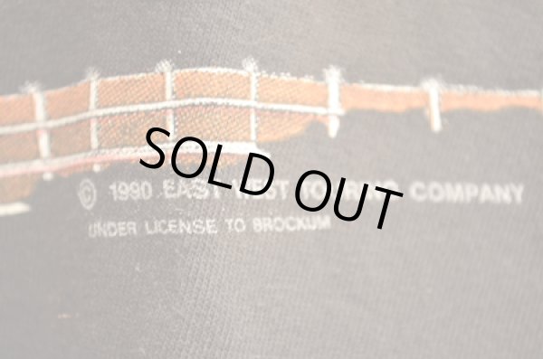 画像4: 90's BOB DYLAN BAND TEE "under the red sky” (4)