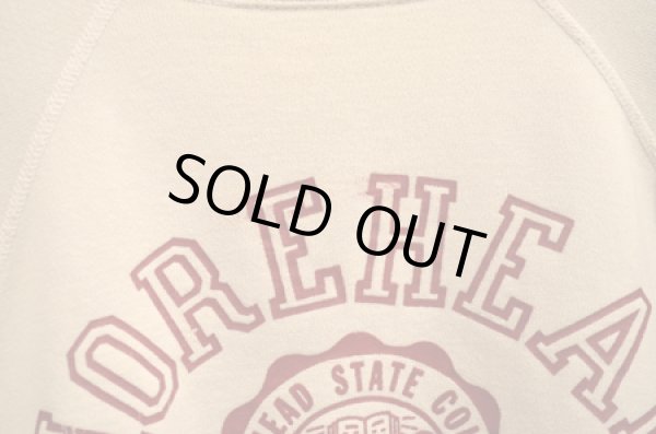 画像2: 50's チャンピオン? VINTAGE SWEAT (2)