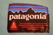 画像2: "NEW” PATAGONIA フリースブランケット "日本未発売” (2)