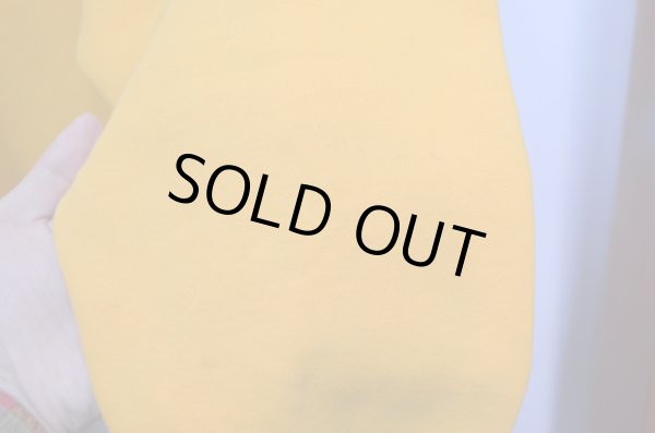 画像5: 80's チャンピオンリバースウィーブPARKA sizeM (5)