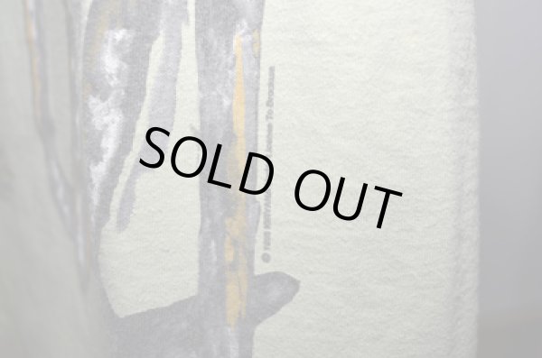 画像5: 93's NIRVANA "INCESTICIDE” (5)