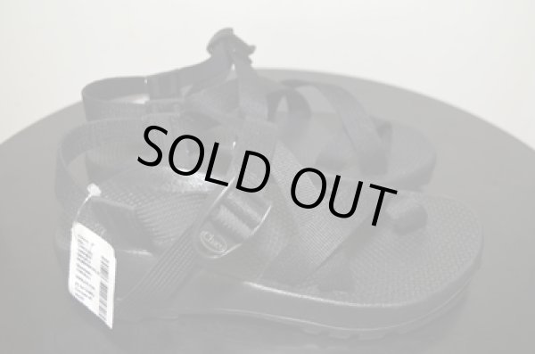 画像5: NEW CHACO Z2 (5)