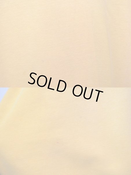 画像5: 60's Russell Southern ハーフジップスウェット (5)