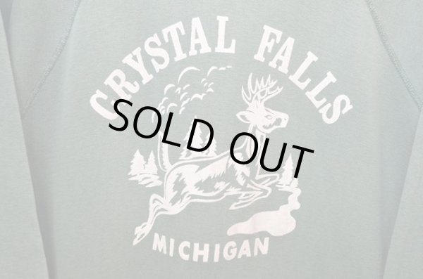 画像4: 60's SPRUCE スウェット “フロッキープリント” (4)