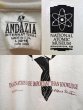 画像3: 90's アインシュタイン Tシャツ "ANDAZIA" (3)