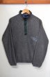 画像1: 90's PATAGONIA スナップT "雪なしタグ" (1)