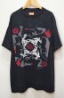 画像1: 90's Red Hot Chili Peppers バンドTシャツ (1)