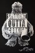 画像3: SESAME STREET “STRAIGHT OUTTA COMPTON” プリントTシャツ (3)