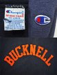 画像3: 90's Champion リバースウィーブ スウェット “BACKNELL” (3)