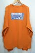 画像1: 90's Patagonia オーガニックコットン L/S Tシャツ (1)